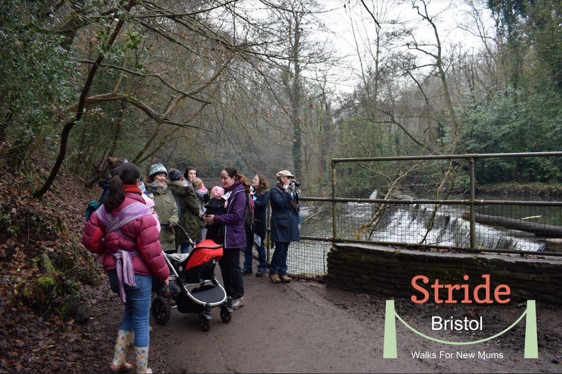 16252542_1360763963995847_4247034813604065005_o